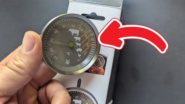 WMF Fleischthermometer zu empfehlen? Ich habe es getestet!