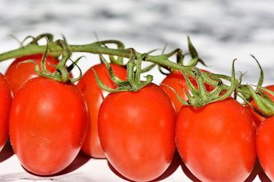 Tomaten nach dem Auftauen